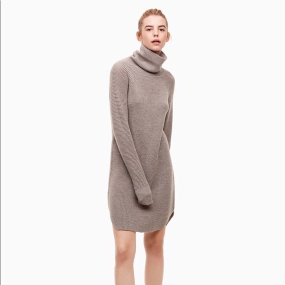 Aritzia Sweaters - Aritzia Bianca Dress